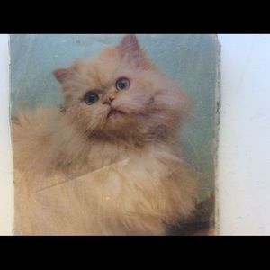 Meet your Posher, Margaret